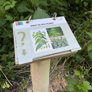 Ringbuch "Kräuter"